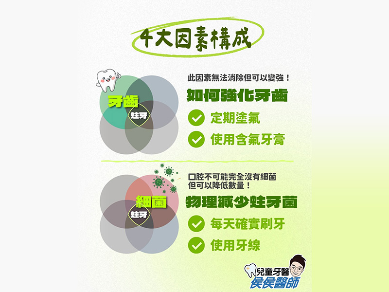 4大因素構成蛀牙(上篇): 牙齒、細菌